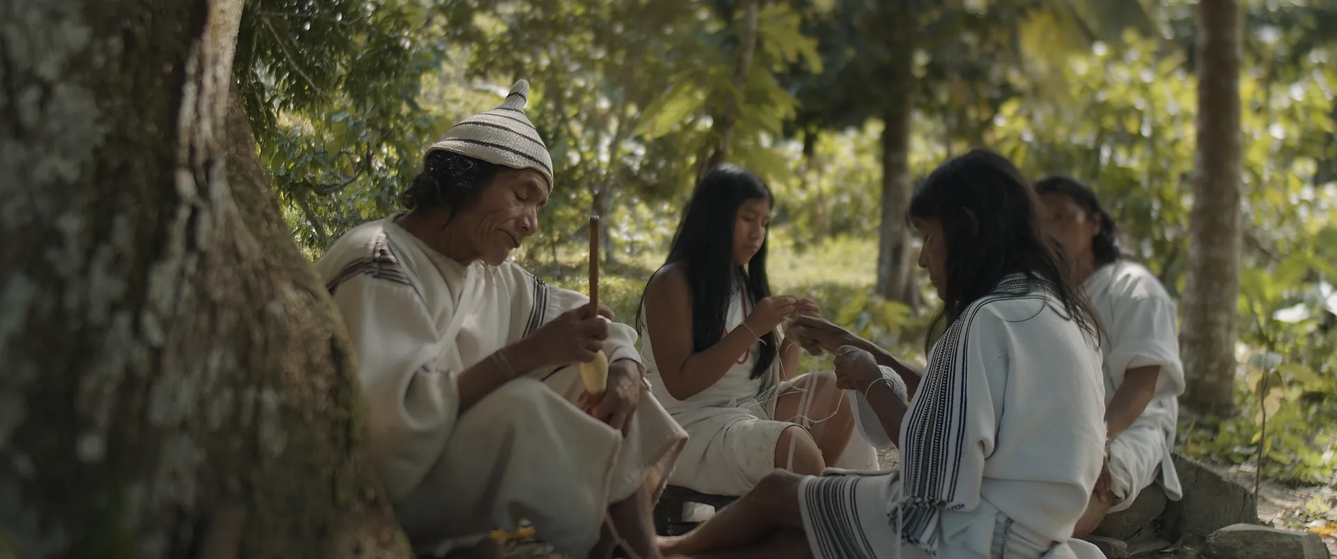 Kogi elders and young women in white clothing sitting together beneath a tree in the forest